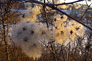 Winterleuchten