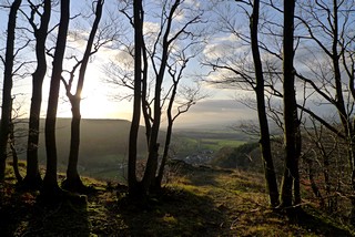 am Würgauer Berg